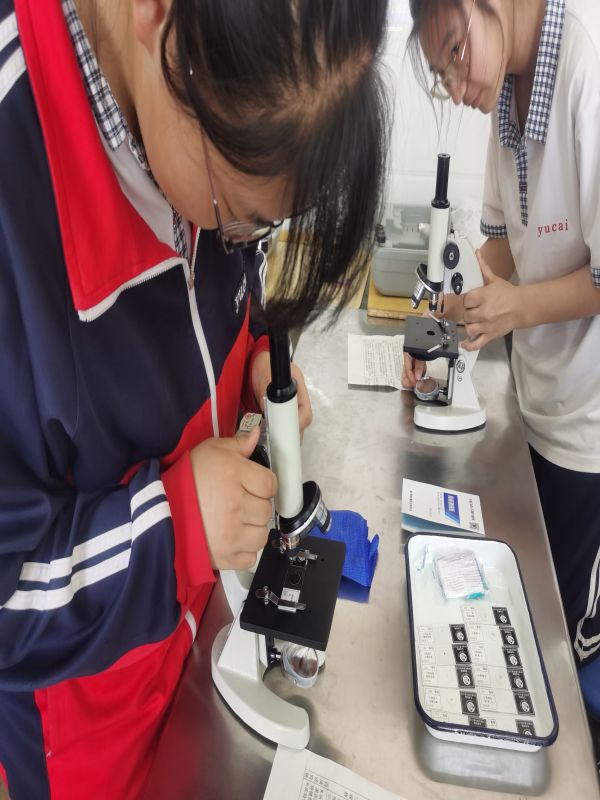 �ٲ���cbin99(�й�����)�ٷ���վ