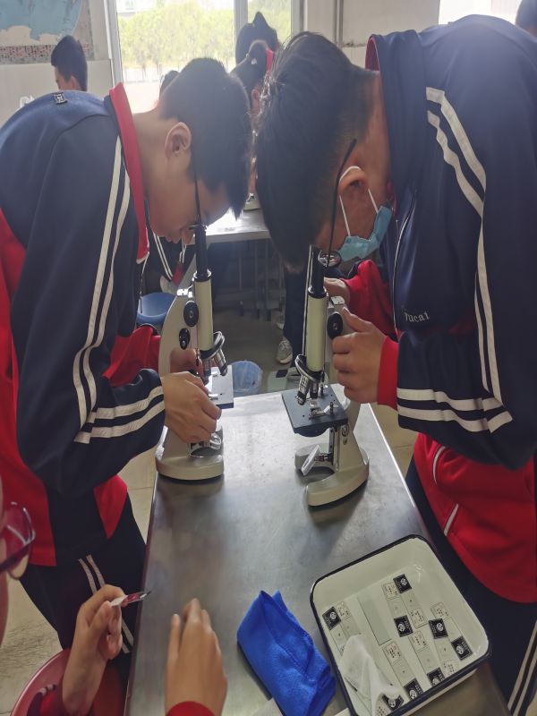 �ٲ���cbin99(�й�����)�ٷ���վ