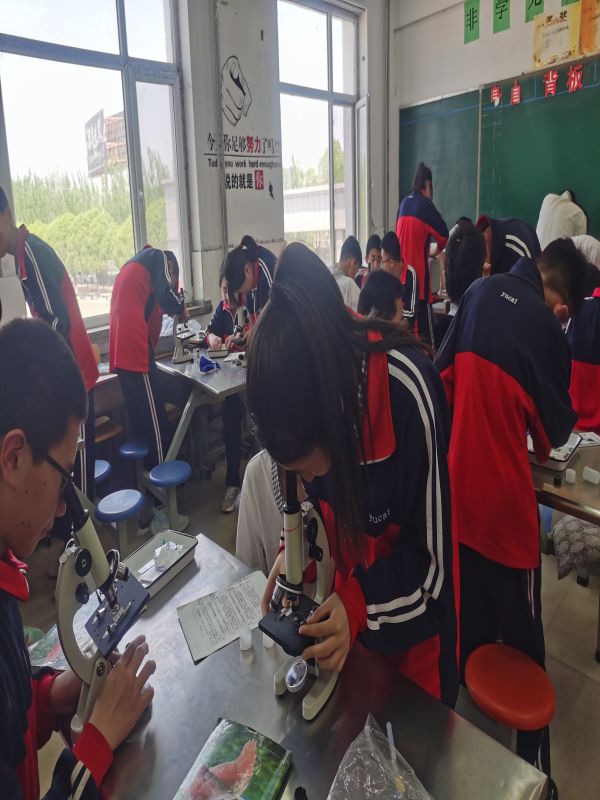 �ٲ���cbin99(�й�����)�ٷ���վ