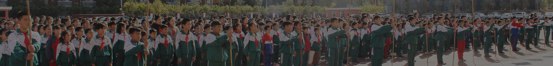 �ٲ���cbin99(�й�����)�ٷ���վ