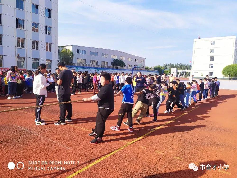 �ٲ���cbin99(�й�����)�ٷ���վ