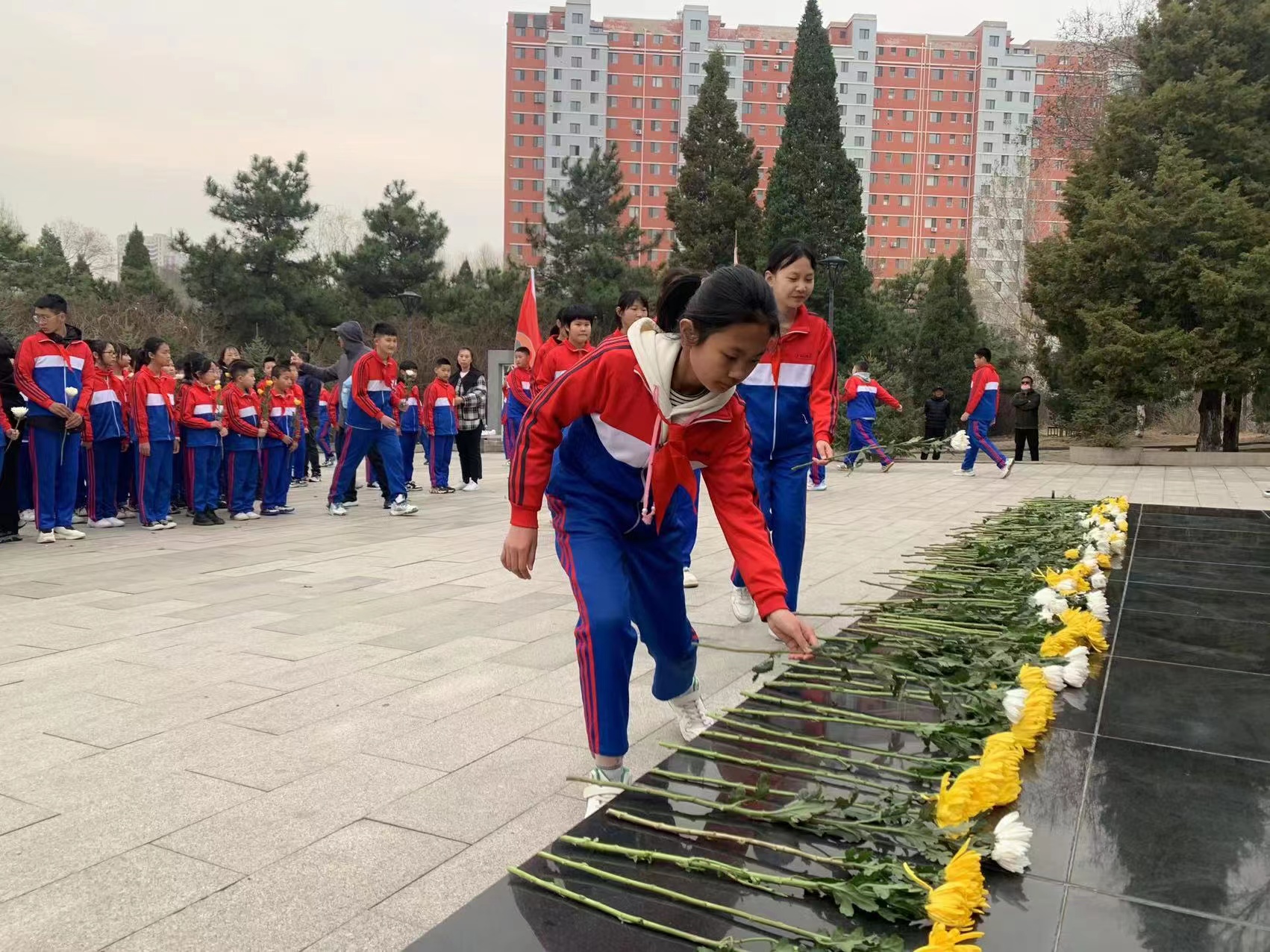 �ٲ���cbin99(�й�����)�ٷ���վ