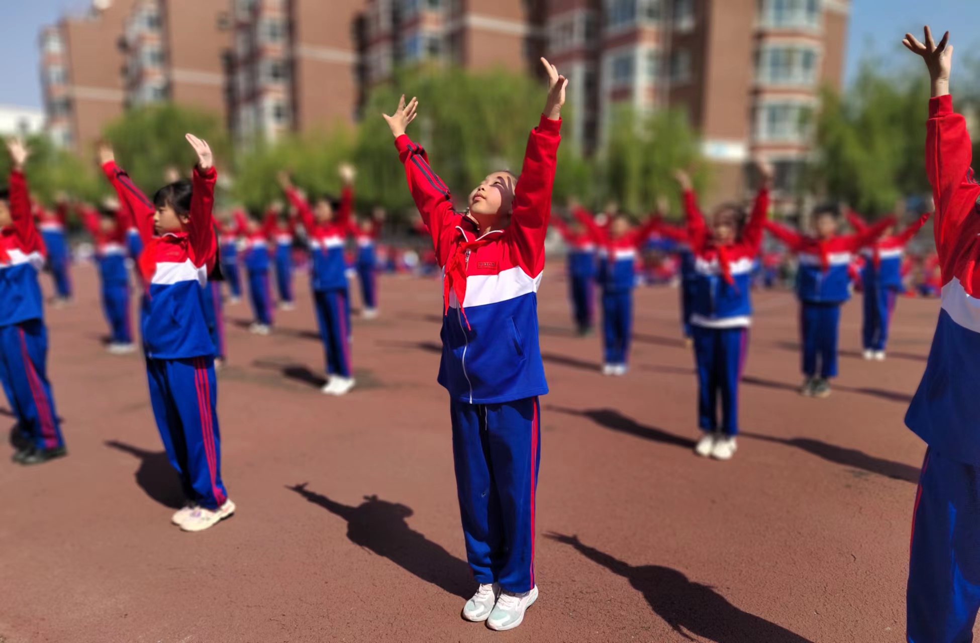 �ٲ���cbin99(�й�����)�ٷ���վ