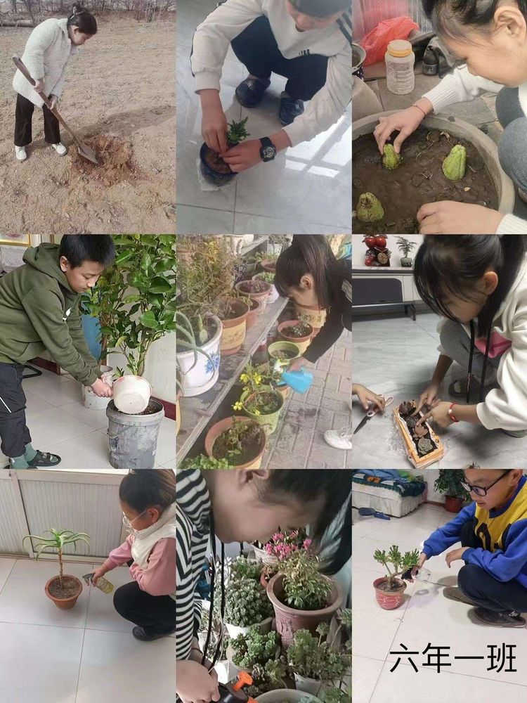 �ٲ���cbin99(�й�����)�ٷ���վ