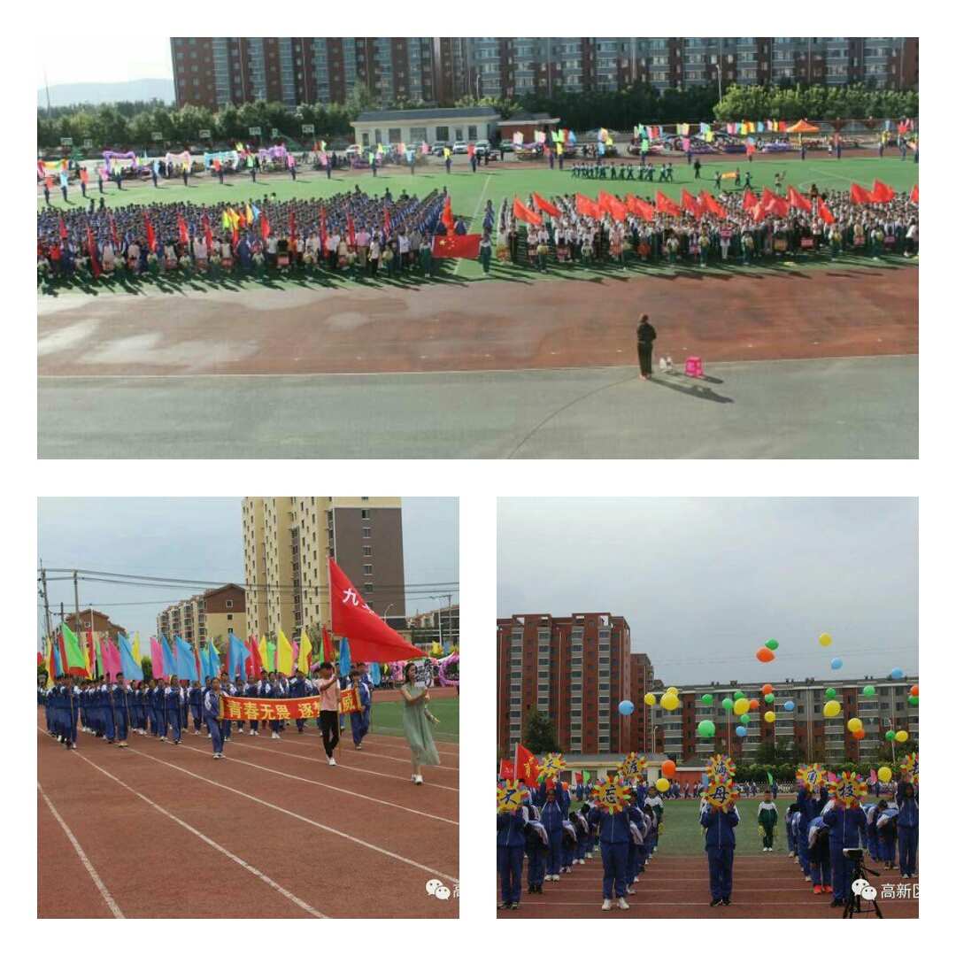 �ٲ���cbin99(�й�����)�ٷ���վ