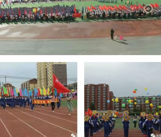 �ٲ���cbin99(�й�����)�ٷ���վ