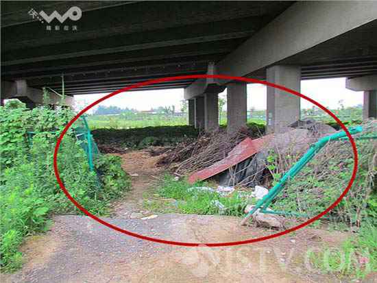 公路护栏网被人为剪开.jpg