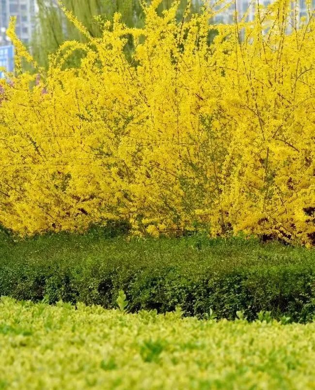 �ٲ���cbin99(�й�����)�ٷ���վ