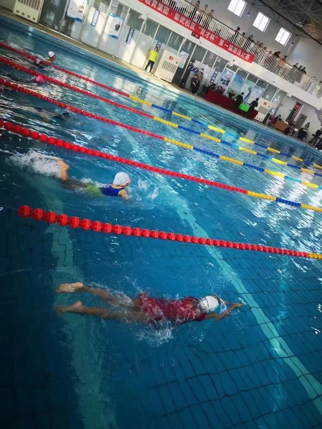 �ٲ���cbin99(�й�����)�ٷ���վ